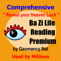 Comprehensive Ba Zi Life Reading Service
